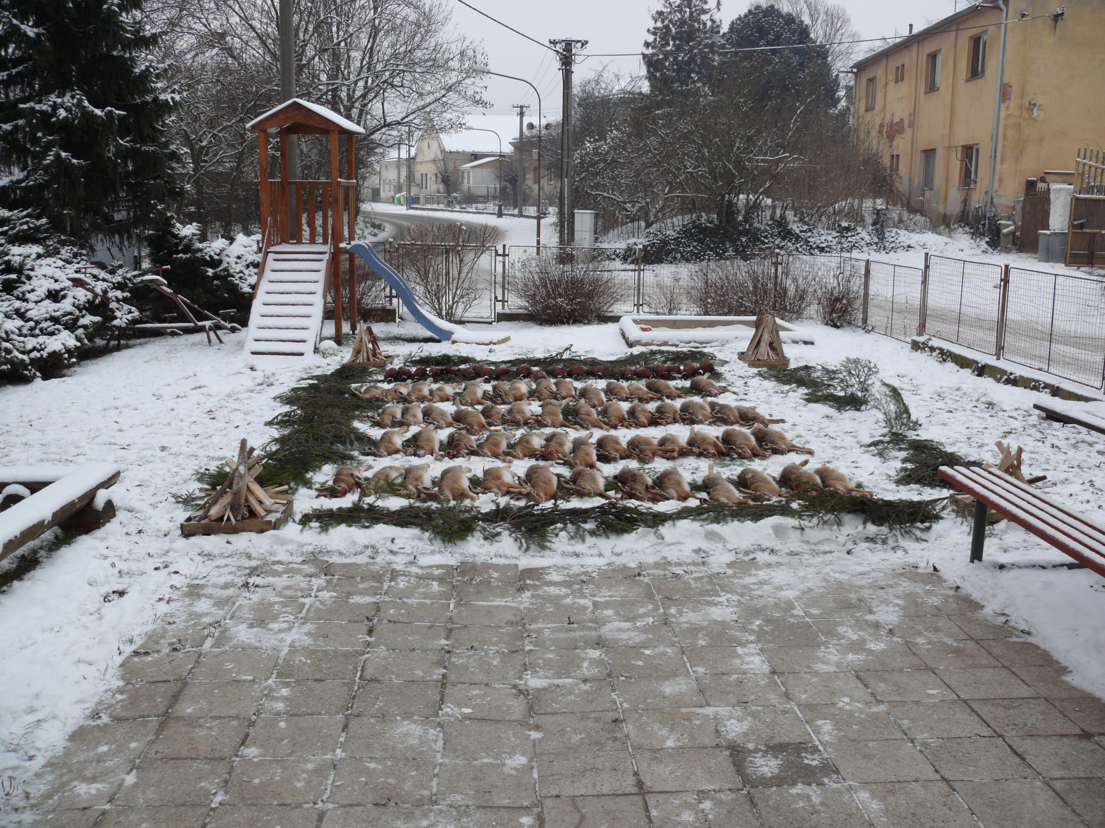 P1030450.JPG